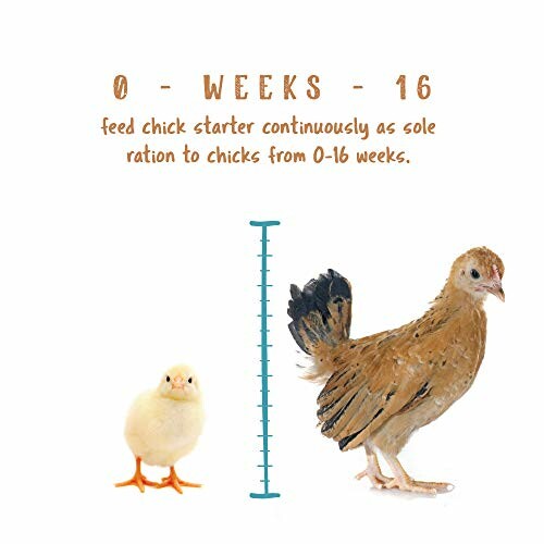 Diagram showing chick growth from 0 to 16 weeks with text instructions.