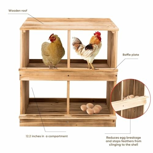 Wooden chicken coop with two chickens and eggs.