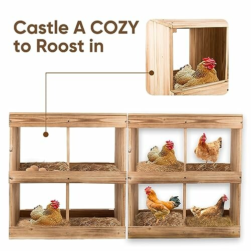 Chickens in wooden nesting boxes with straw bedding.