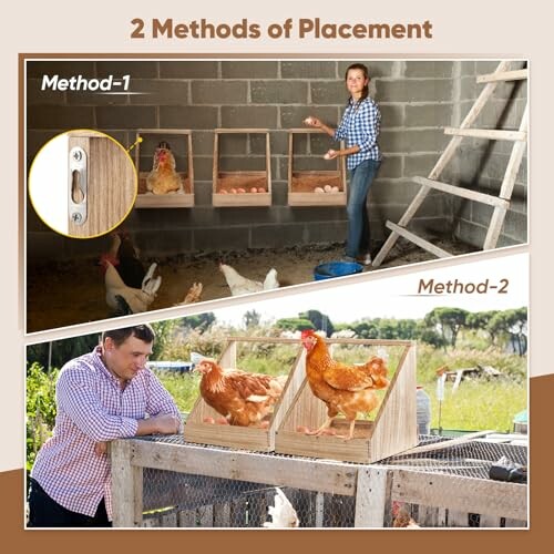 Two methods of placing chicken nesting boxes, with one indoors and one outdoors