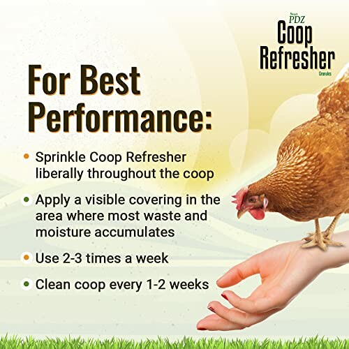 Tips for best performance using Coop Refresher with a chicken.