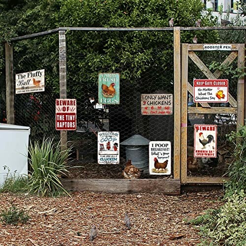 Chicken coop with humorous warning signs.