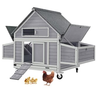 GUTINNEEN Chicken Coop