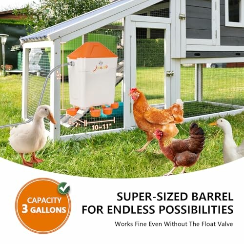 Chickens and ducks around a large water feeder in a coop.