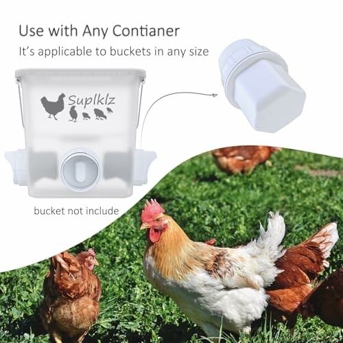 Chicken waterer nipple with hens in grass