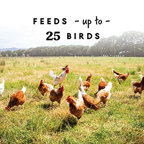 Chickens in a field with text 'Feeds up to 25 birds'