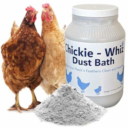 Chickie-Whiz Dust Bath with two chickens and dust pile