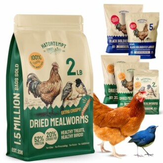 2 lbs Dried Mealworms for Birds