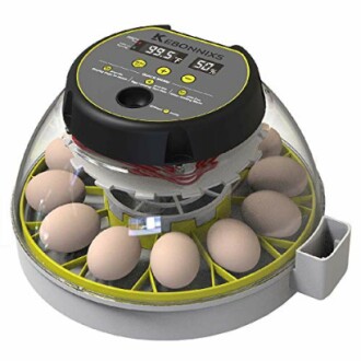 12 Egg Incubator