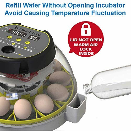 Egg incubator with water refill feature and temperature display.