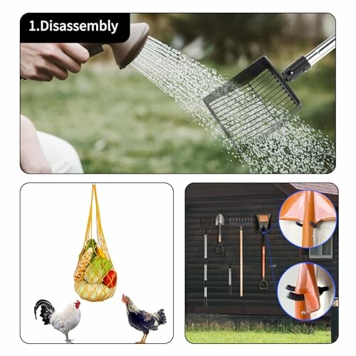 Collage of watering a grill, tools hanging on a wall, chickens with a fruit net.