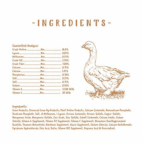 Diagram showing chick growth from 0 to 16 weeks with text instructions.