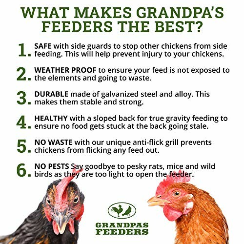 Infographic detailing benefits of Grandpa's chicken feeders.