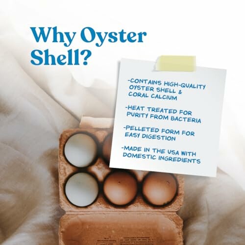 Benefits of oyster shell with four eggs in a carton.